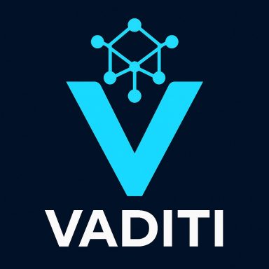 VADITI IT CONSULTING