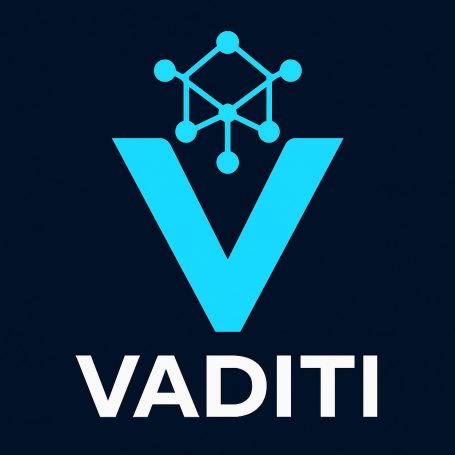 VADITI IT CONSULTING